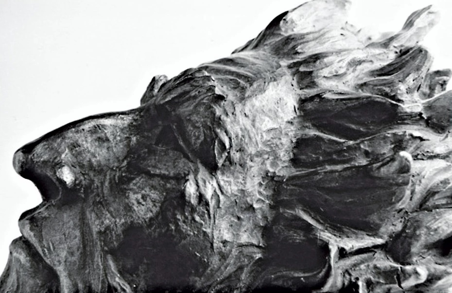 Cuando desees golpear a alguien en la nariz, detente y recuerda