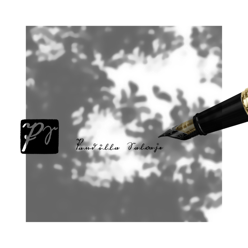 Cámara de eco, la cereza del pastel de caca.