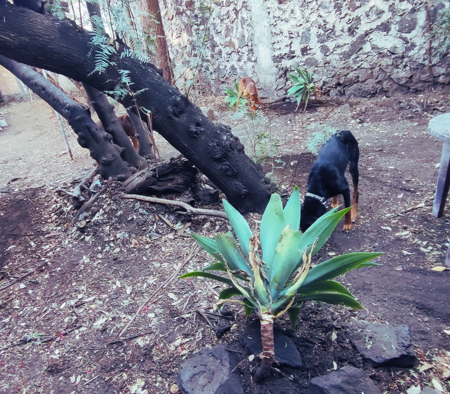 El camino del mínimo esfuerzo.