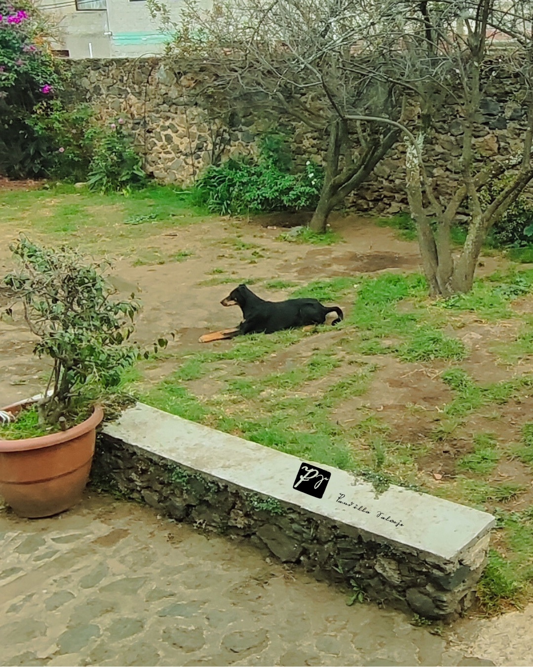 En busca de lo original