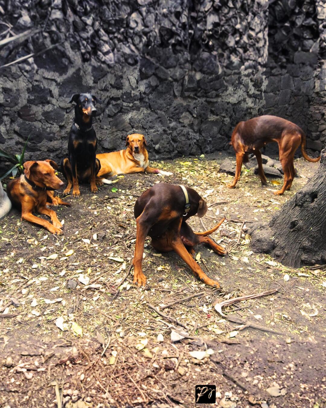 La sugerencia del semáforo