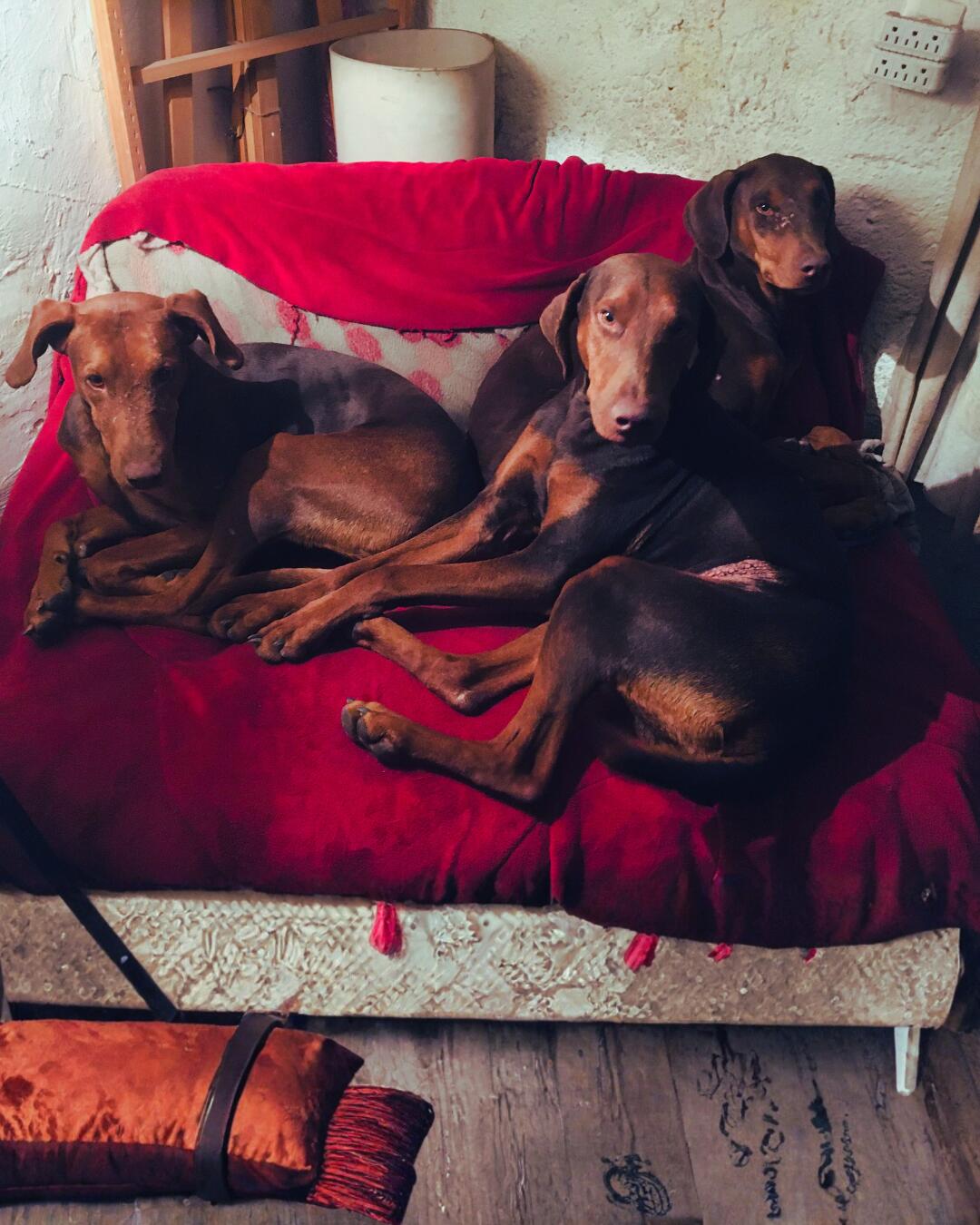 El miedo a quedar en el olvido