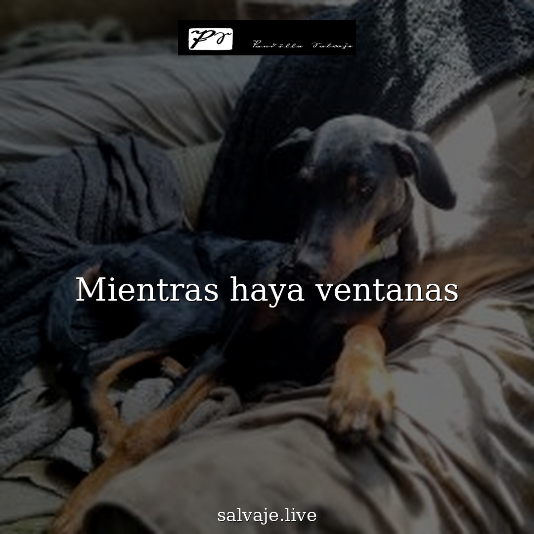 Mientras haya ventanas